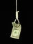 Hanged Dollar