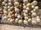 Hanged onion bulbs as a background on wall