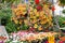 Hanging basket with orange, yellow petunia