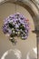 Hanging Basket of Pansy - Violet Flowers