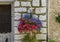 Hanging basket of pink petunias and blue lobelia in Saint Paul-de-Vence, Provence, France