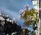 Hanging basket with pink, red, violet and magenta coloured flowers