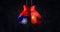 Hanging boxing gloves with the National Flag of the People`s Republic of China and flag of the Republic of China