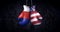 Hanging boxing gloves with the russian flag and the flag of the United States of America illustrate the tensions between the two