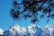 Hanging branches of pine tree with snowcap mountain peaks and blue sky in the background