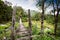 Hanging Bridge