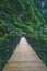 Hanging bridge across valley on Wugong Mountain in Jiangxi, China