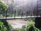 Hanging bridge in the forest.