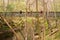 A Hanging Bridge on a Hiking Trail in Winteris Crossed by Several Hikers and dogs.