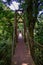 Hanging bridges in the loud forest of Monte Verde, Costa Rica