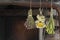 Hanging bunches of medicinal herbs Mountain tea Sideritis scardica, oregano, yarrow or achillea. Harvesting herbal plant