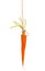 Hanging Carrot on White Background