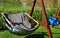 Hanging chair textile comfortable brown on wooden structure blue green hedge in the background of hornbeam rest in the garden gray