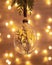 Hanging Christmas Glass bauble filled dried flowers, grass. Botanical Christmas ornaments with blurred bokeh background