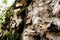 Hanging coffins, graves. Old coffin with skulls and bones nearby on a rock. Traditional burials site, cemetery Kete Kesu in Rantep