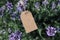 Hanging craft paper gift tag, label mockup with rope. Blurred blooming violet lavender flowers in the garden. Summer