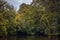 Hanging dark branch over a river bend with yellow and green leaves reflecting on a water surface, autumn scene with twigs and