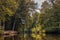 Hanging dark branch over a river bend with yellow and orange leaves reflecting on a water surface, autumn scene with twigs and