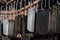 Hanging dog tags, Unlabeled closeup