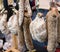 Hanging Dried Meats In a Market