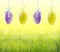 Hanging Easter eggs on spring background