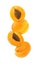 Hanging, falling, hovering and flying whole and sliced apricot