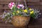 Hanging flower basket