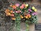 Hanging Flower Basket Against a Stone Wall.