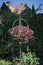 Hanging flower basket in front of a house