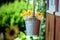 Hanging flower pot with colorful flowers