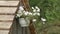 Hanging flower pot with white petunia flowers Petunia hybrida.