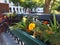 Hanging flowerbed with orange flower in city park