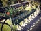 Hanging flowerbed in the park mounted on metal fence.