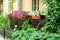 Hanging flowerpots with petunia blossoms.