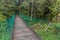 Hanging foot bridge near Taman Rata town in the Cameron Highlands, Malays