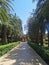 Hanging Gardens of Haifa (Bahá’í Gärten)