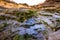 Hanging gardens in Zion National Park - Utah, USA