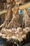 Hanging garlic on drying rack