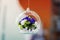 Hanging glass ball, bubble with colorful flowers inside, bright white and red background, decoration, stylish floristry