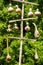 Hanging Gourd Birdhouses