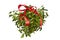 Hanging green mistletoe with a red bow
