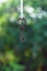 Hanging home key with house keyring with green garden background
