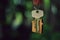 Hanging home key with house keyring with green garden background