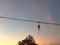 Hanging Incandescent Lamp Against Sky During Sunset