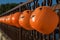 Hanging Jack-o-lanterns as Halloween Luminaries