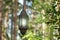 Hanging lamp on a track in front of a forest of metal and glass. Illuminated