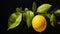 The Hanging Lemon: A Captivating Hyperrealistic Artwork