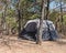 Hanging light bug zapper near large camping tents under tree shade at camping site in national park of Oklahoma, America