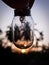 This is a hanging light and there is a sunset behind the bulb. blurry background. Subject is in focus background blur