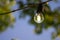 Hanging lightbulb on a wire with blue sky